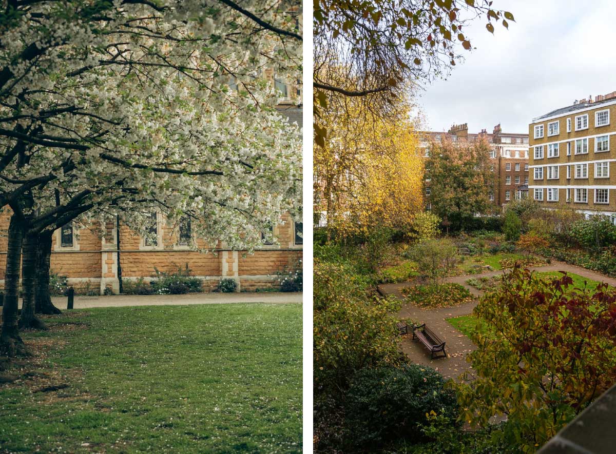 e-gardens communal and gated estates gardens maintenance