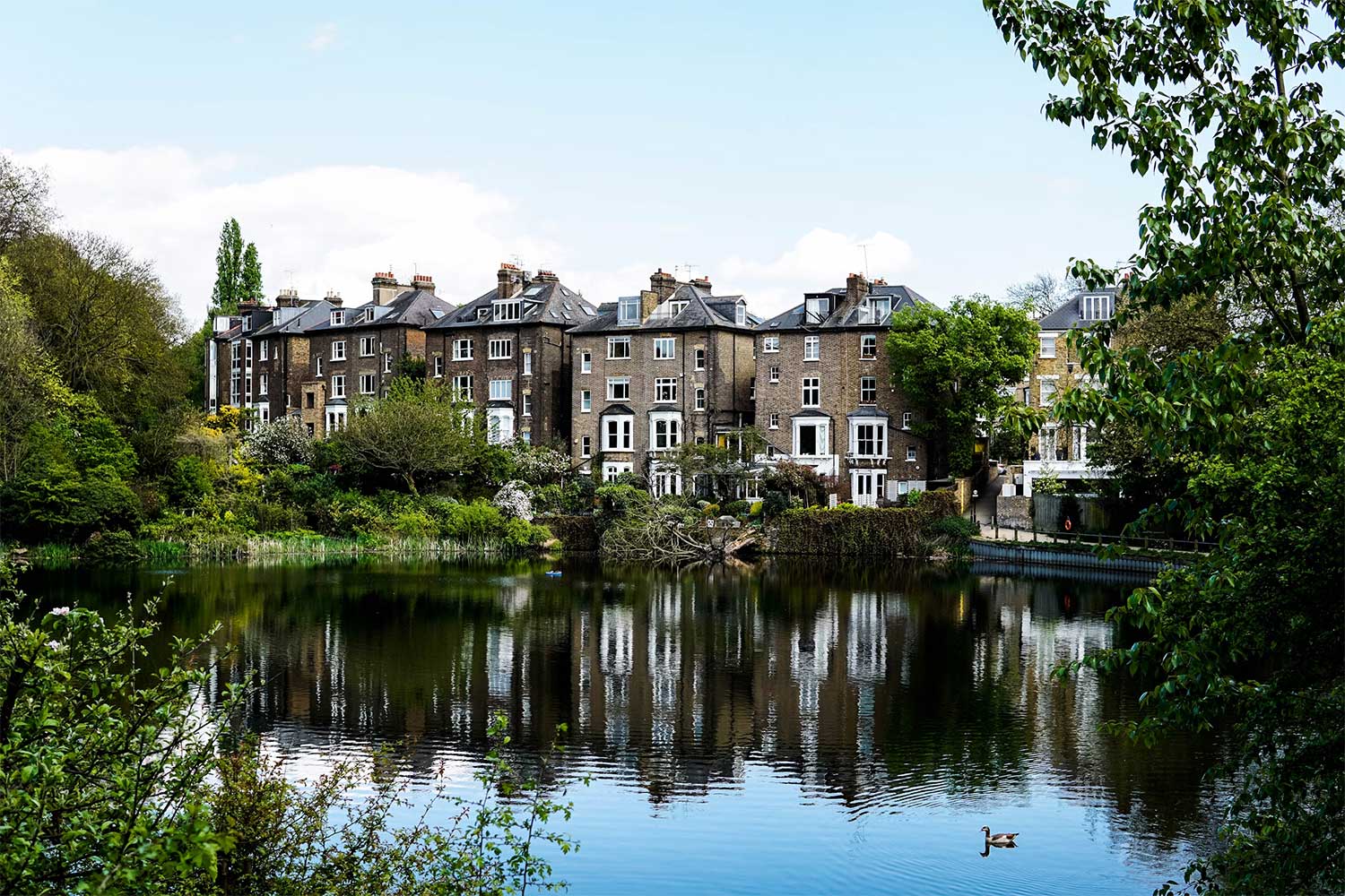 a lush corner of Hampstead heat park seen from the riverside